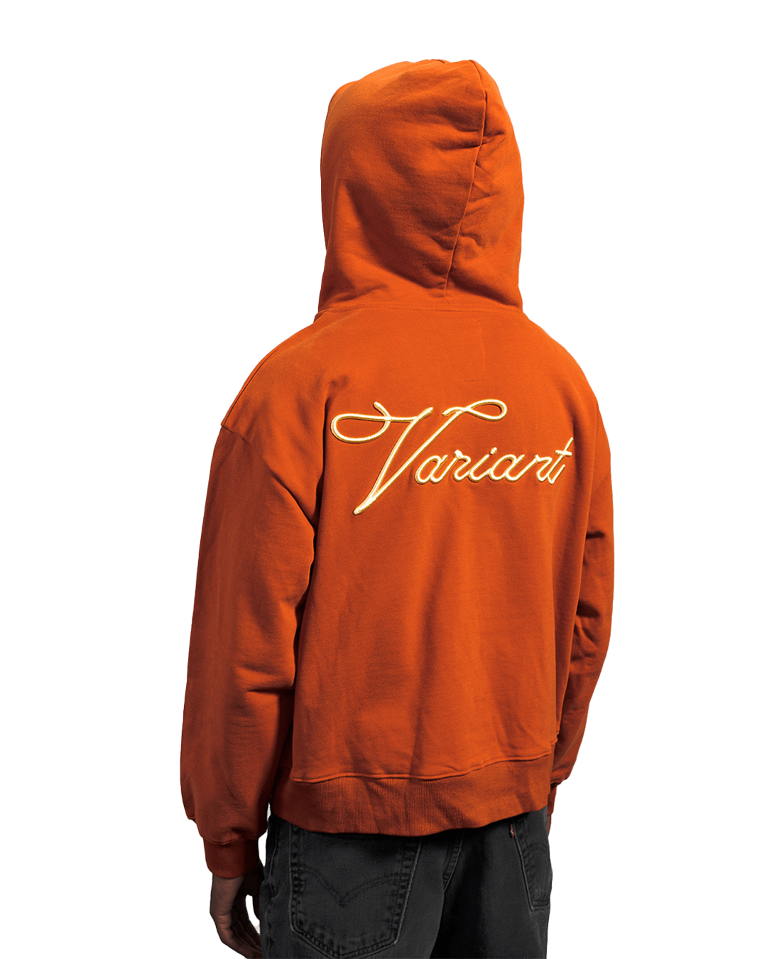 Scripture Hoodie (Teracotta)