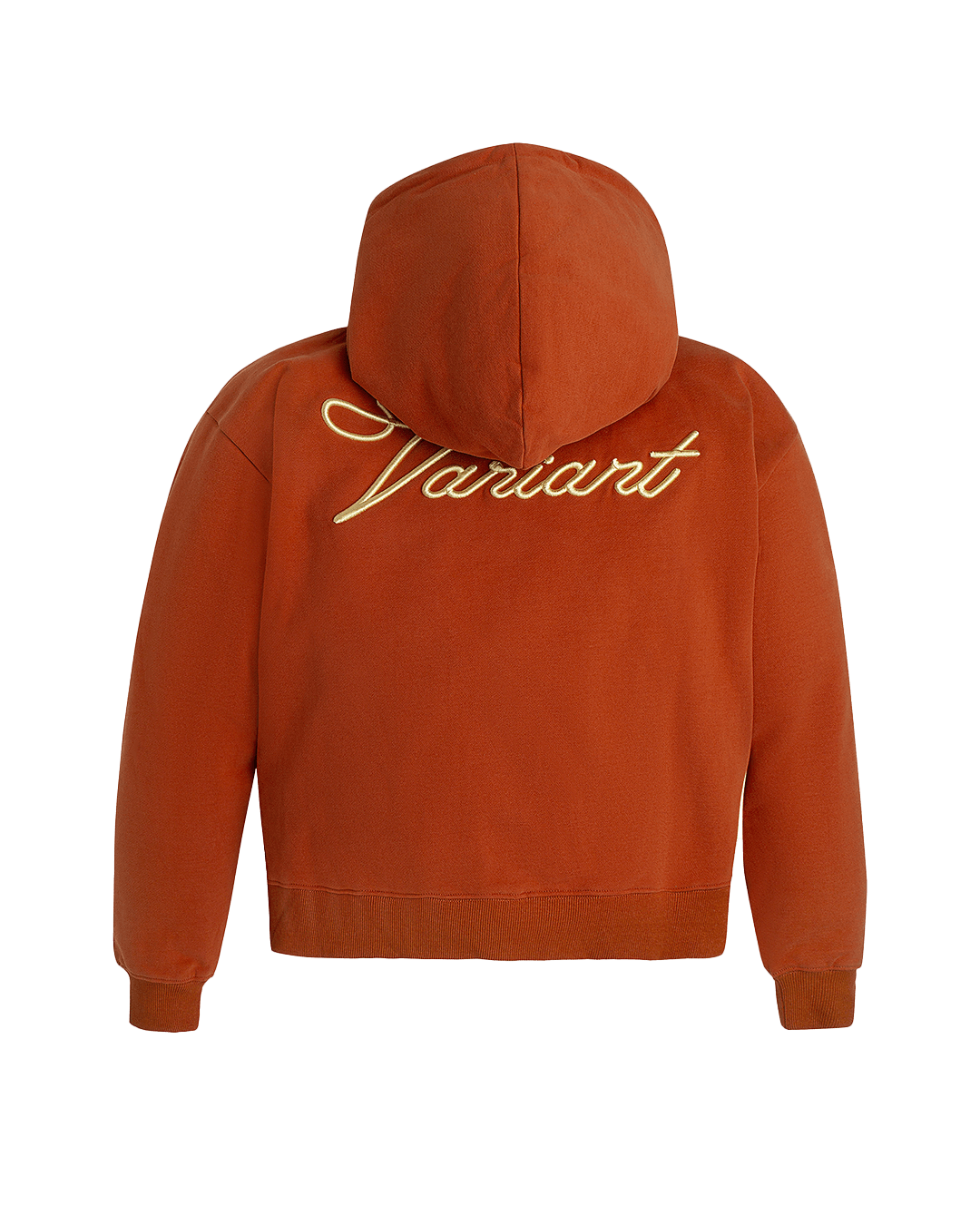 Scripture Hoodie (Teracotta)