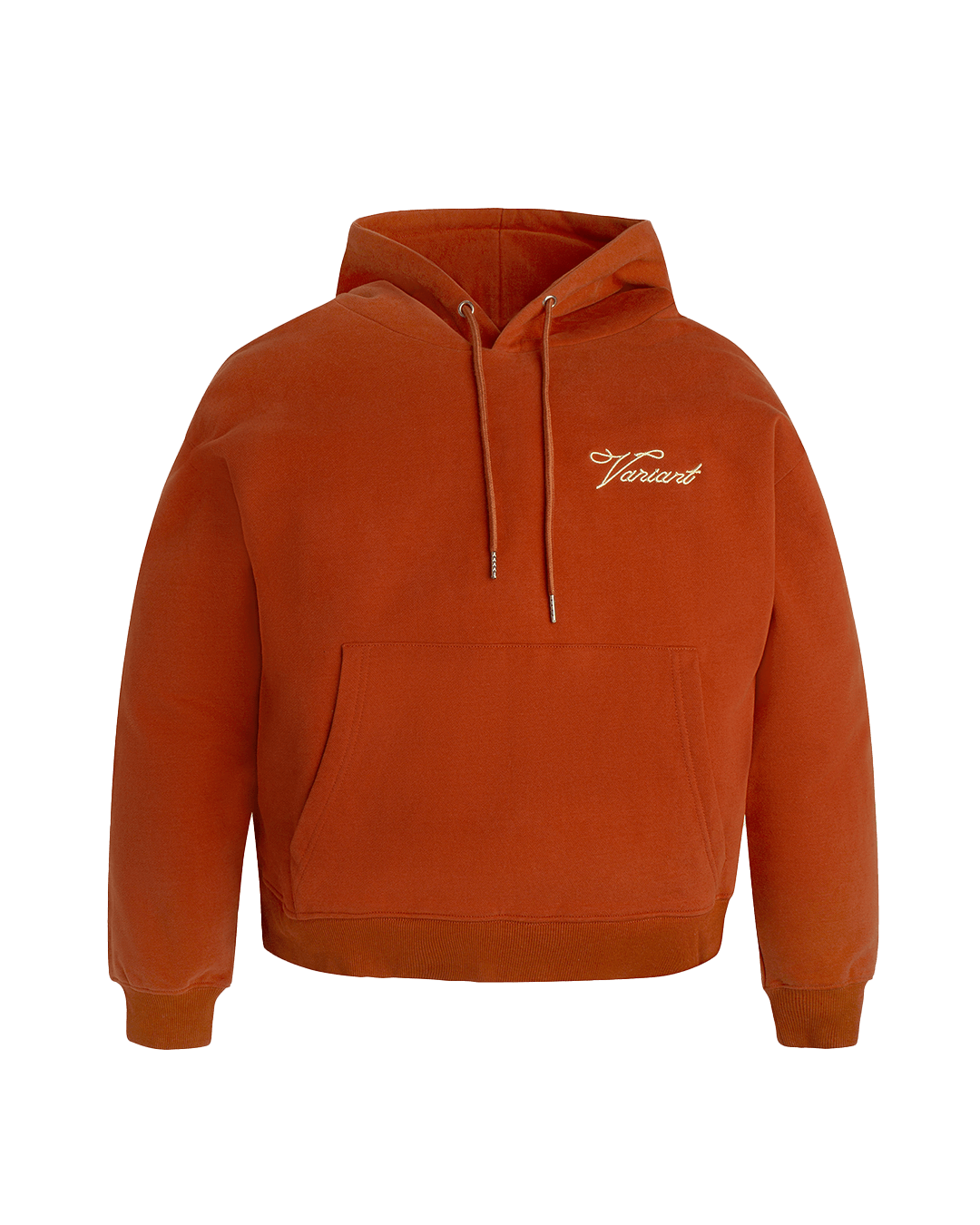 Scripture Hoodie (Teracotta)
